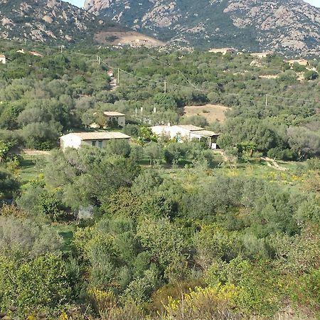 Agriturismo Agrisole ออลเบีย ภายนอก รูปภาพ