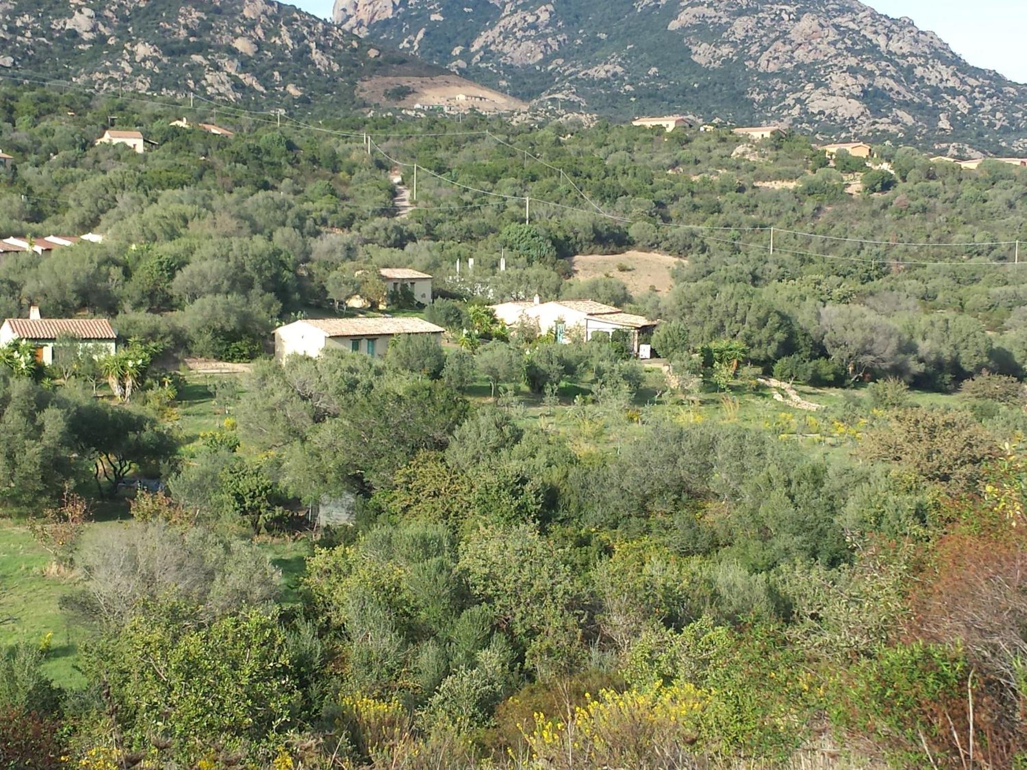 Agriturismo Agrisole ออลเบีย ภายนอก รูปภาพ