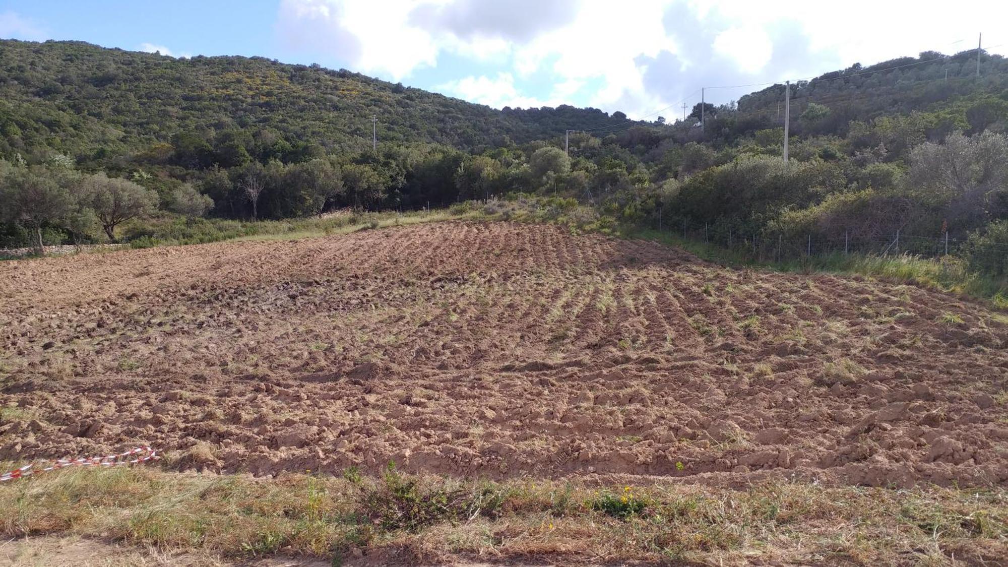 Agriturismo Agrisole ออลเบีย ภายนอก รูปภาพ