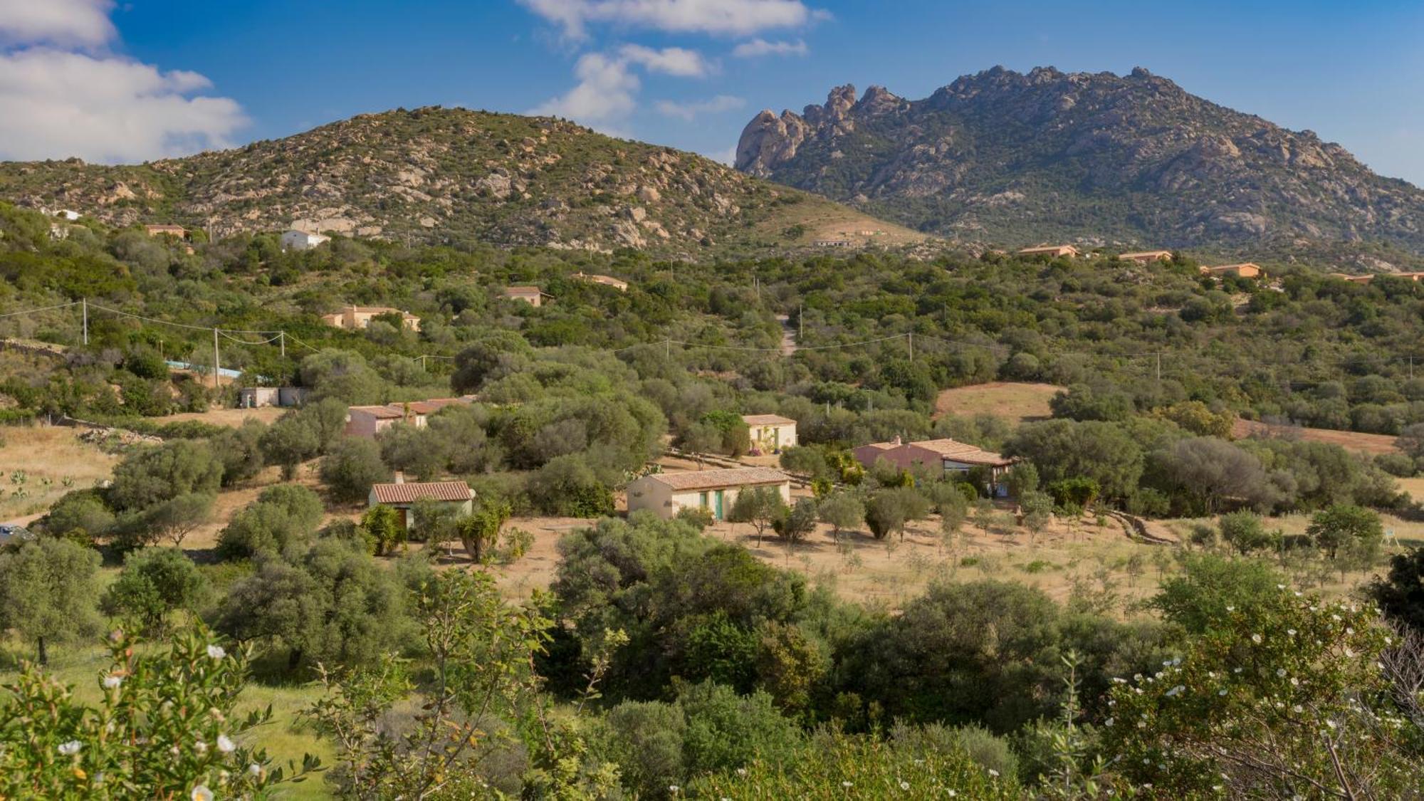 Agriturismo Agrisole ออลเบีย ภายนอก รูปภาพ