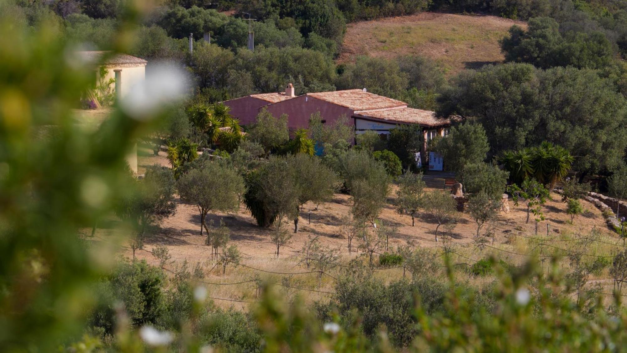 Agriturismo Agrisole ออลเบีย ภายนอก รูปภาพ