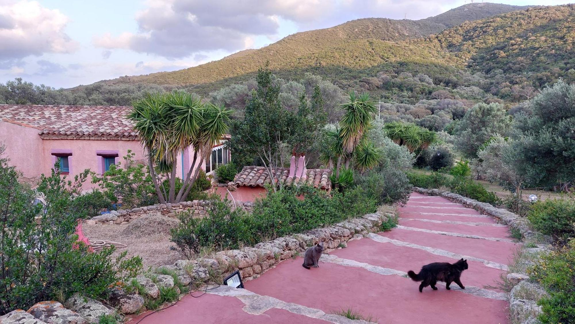 Agriturismo Agrisole ออลเบีย ภายนอก รูปภาพ