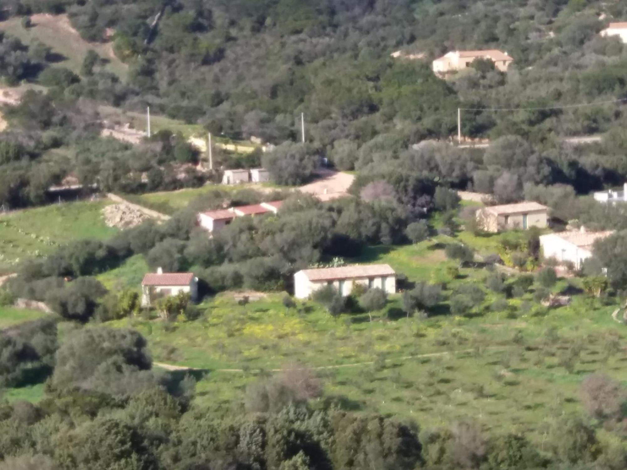 Agriturismo Agrisole ออลเบีย ภายนอก รูปภาพ