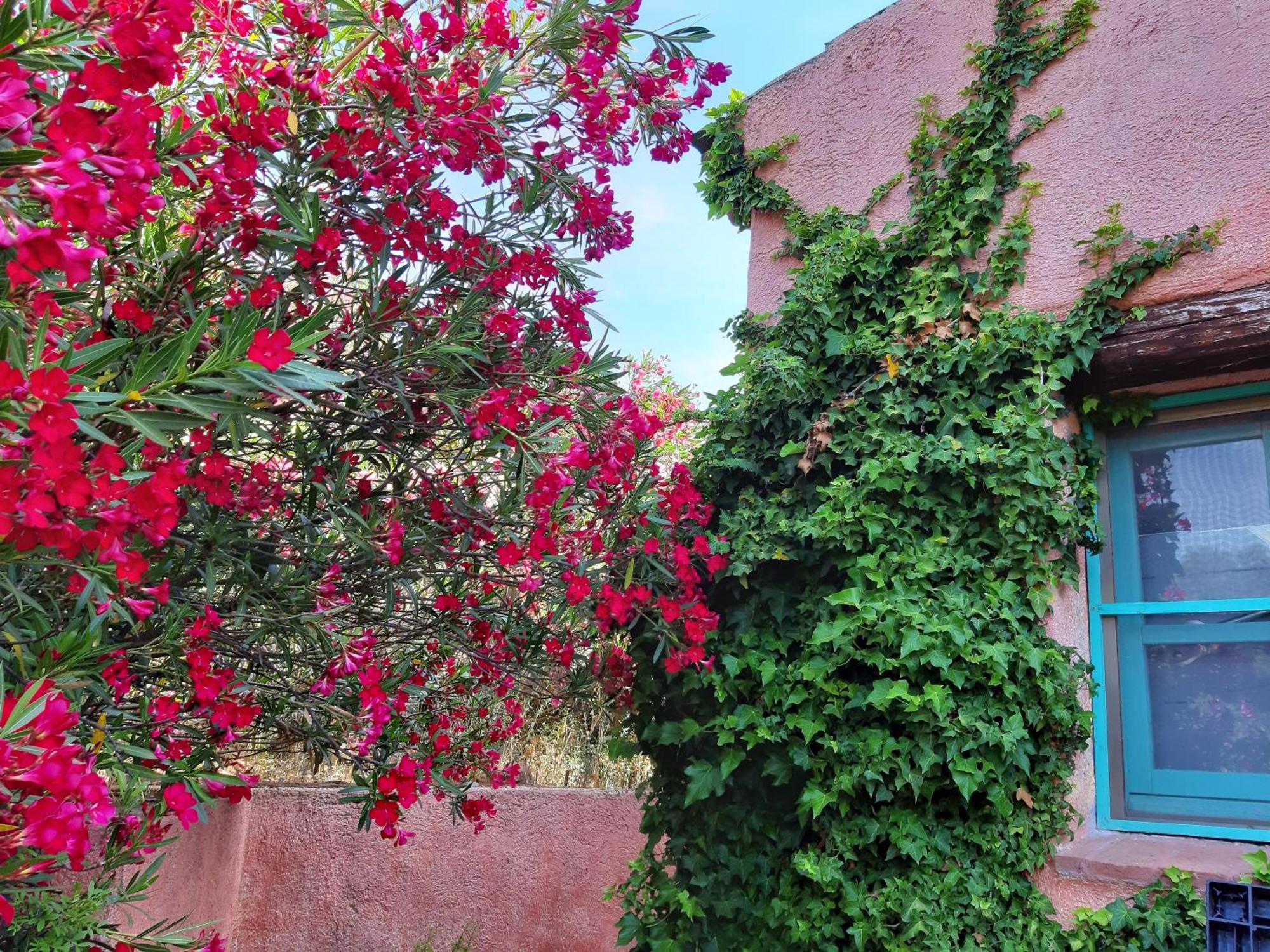 Agriturismo Agrisole ออลเบีย ภายนอก รูปภาพ